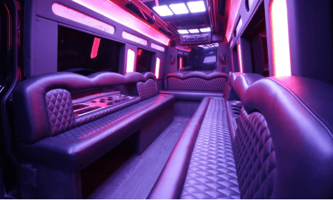 Peoria 14 Passenger Sprinter Bus Interior