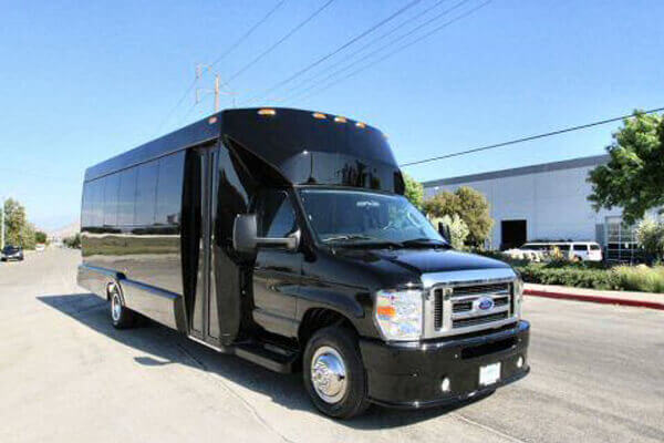 Surprise 15 Passenger Party Bus